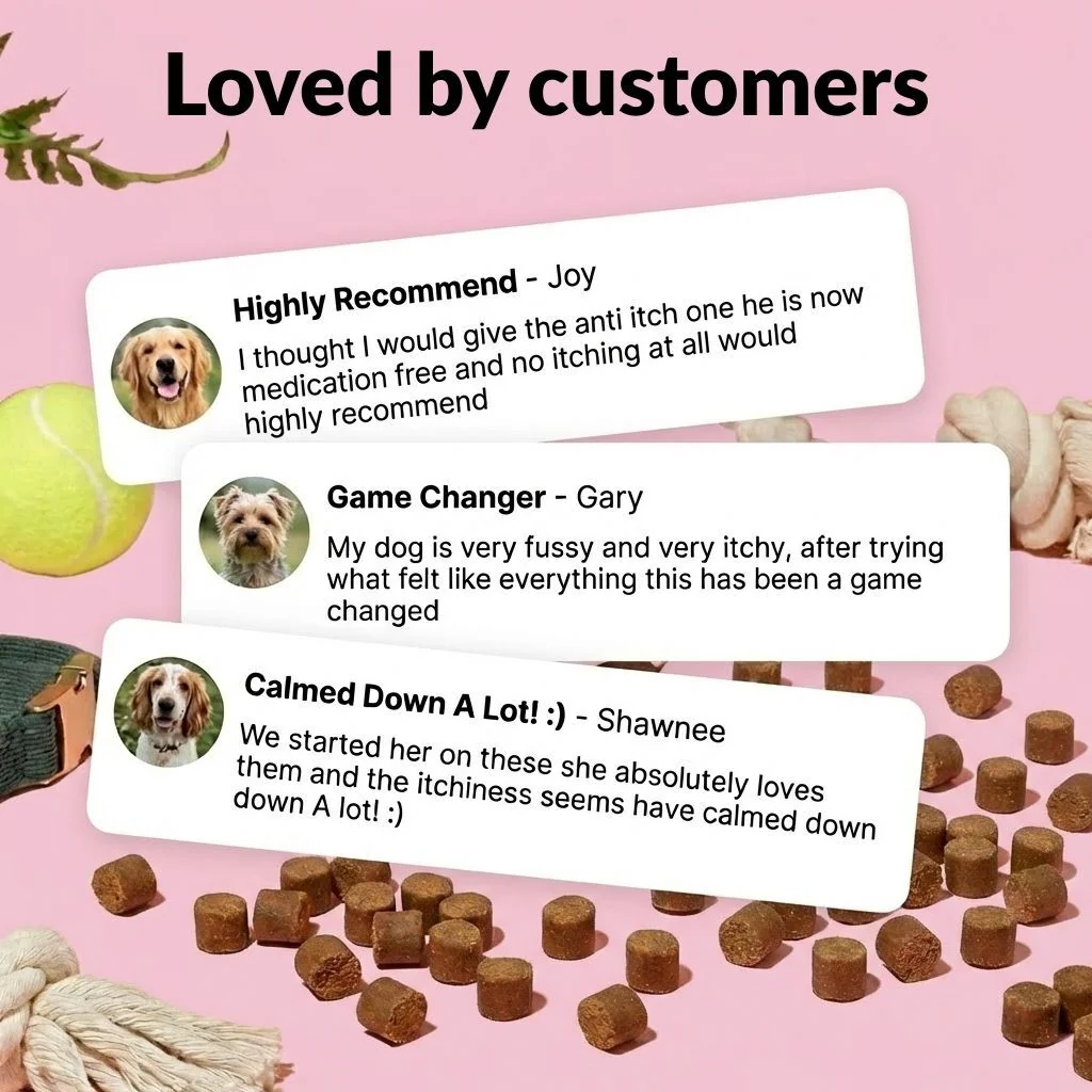 All-Itch & Immunity Treats - Image 3