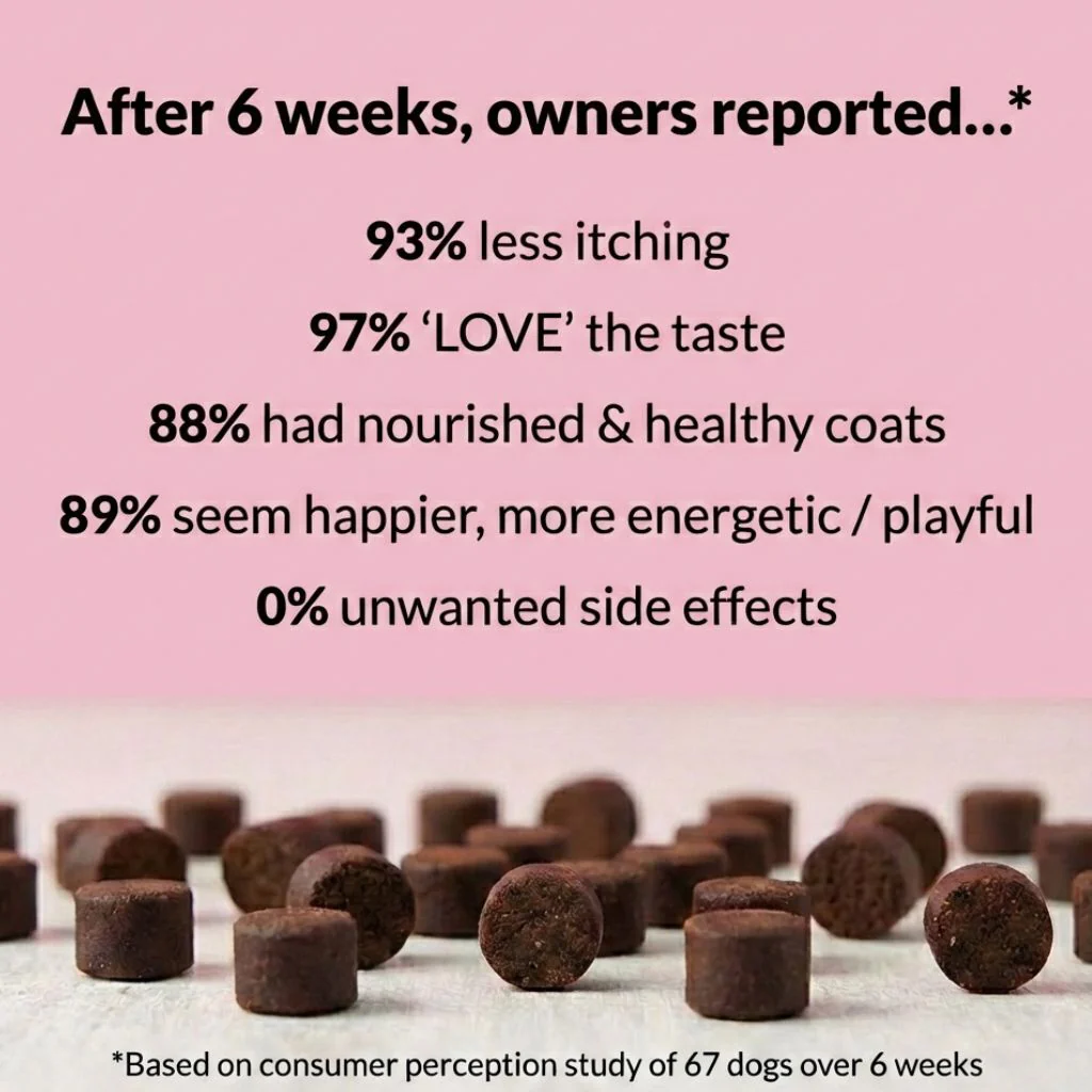 All-Itch & Immunity Treats - Image 7