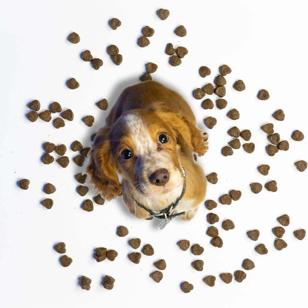 Defence & Wellness Kit - Image 11