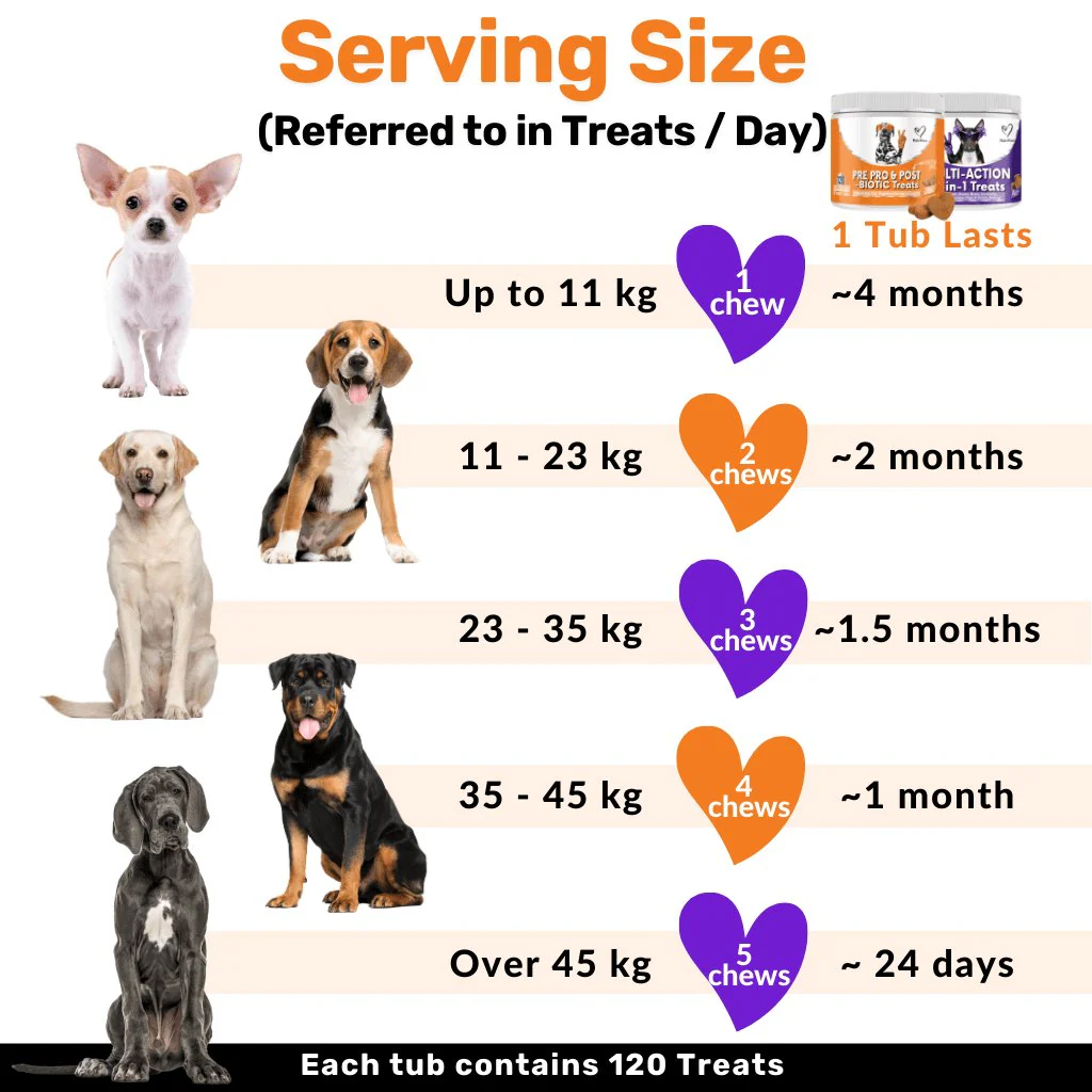 Defence & Wellness Kit - Image 14