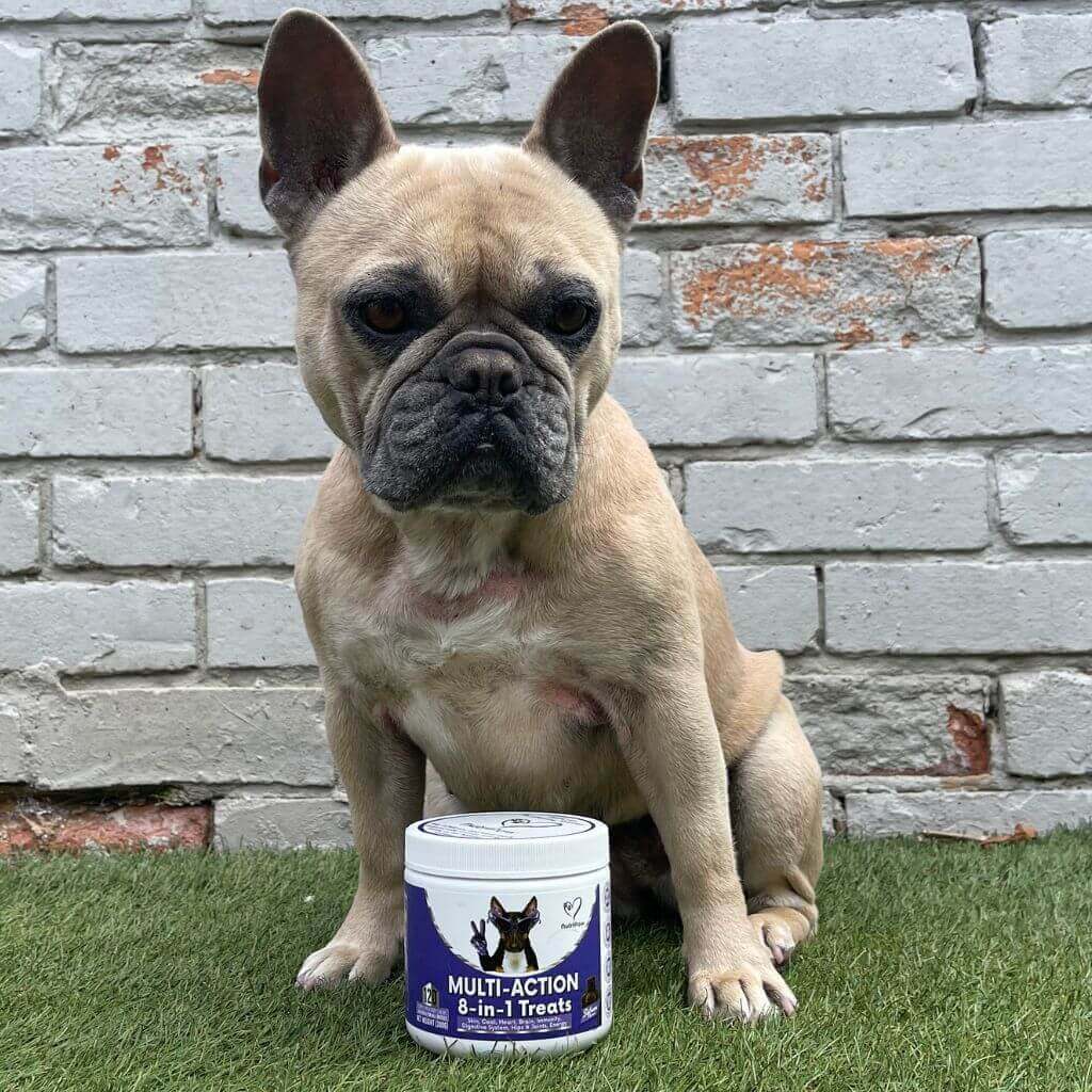 Defence & Wellness Kit - Image 15