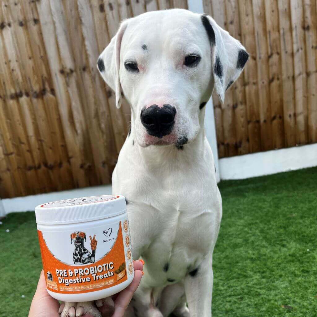 Defence & Wellness Kit - Image 7