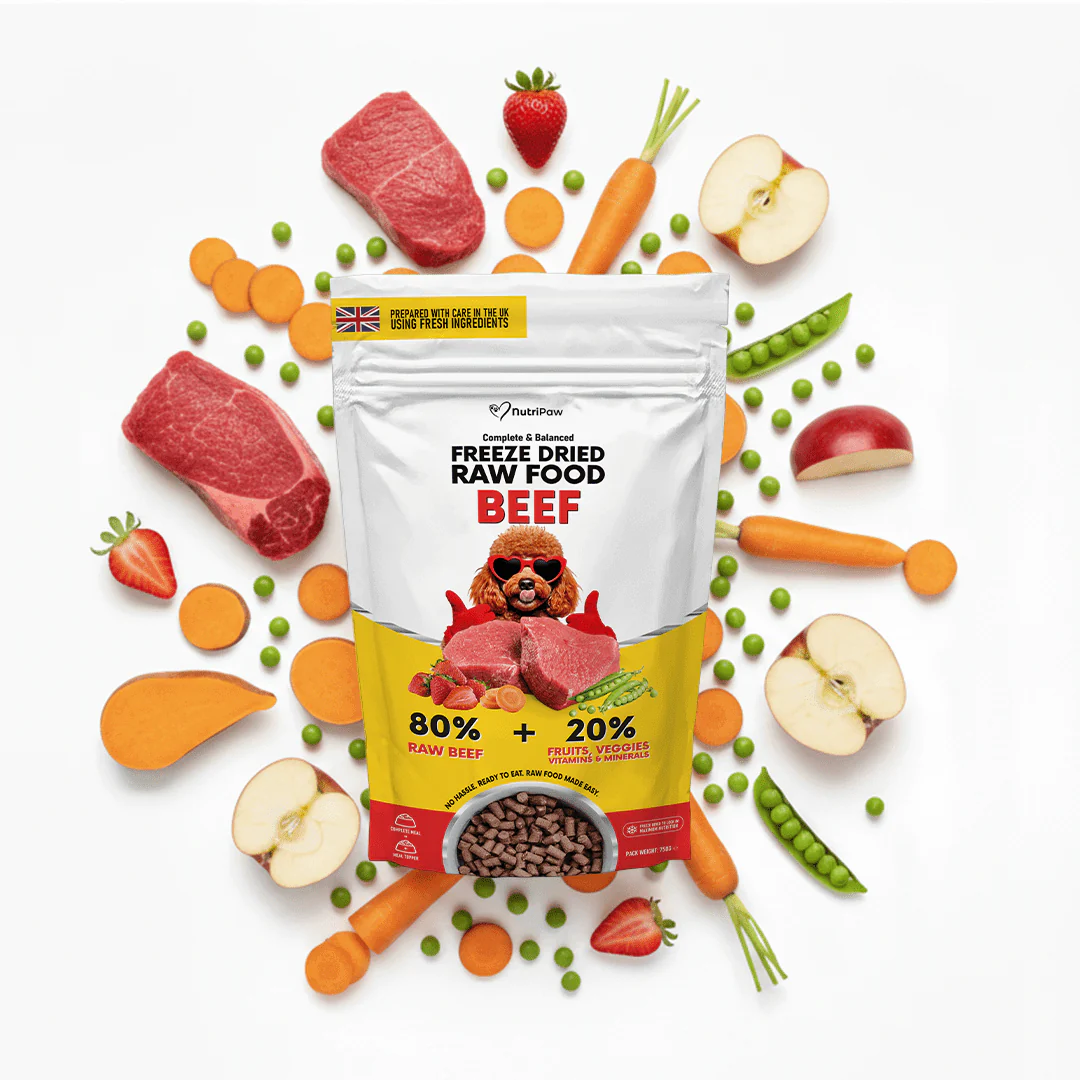Freeze Dried Raw Food