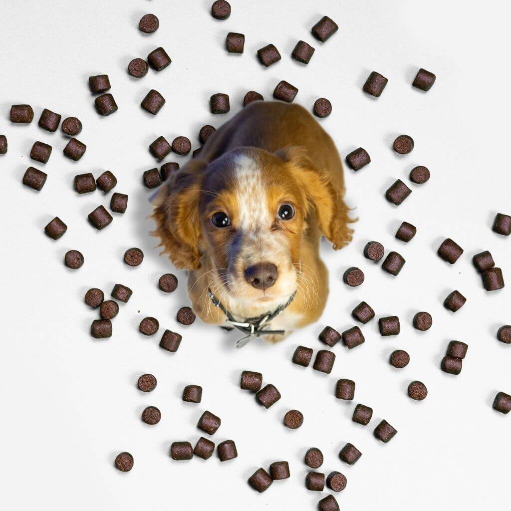 Itch & Wellness Kit - Image 11