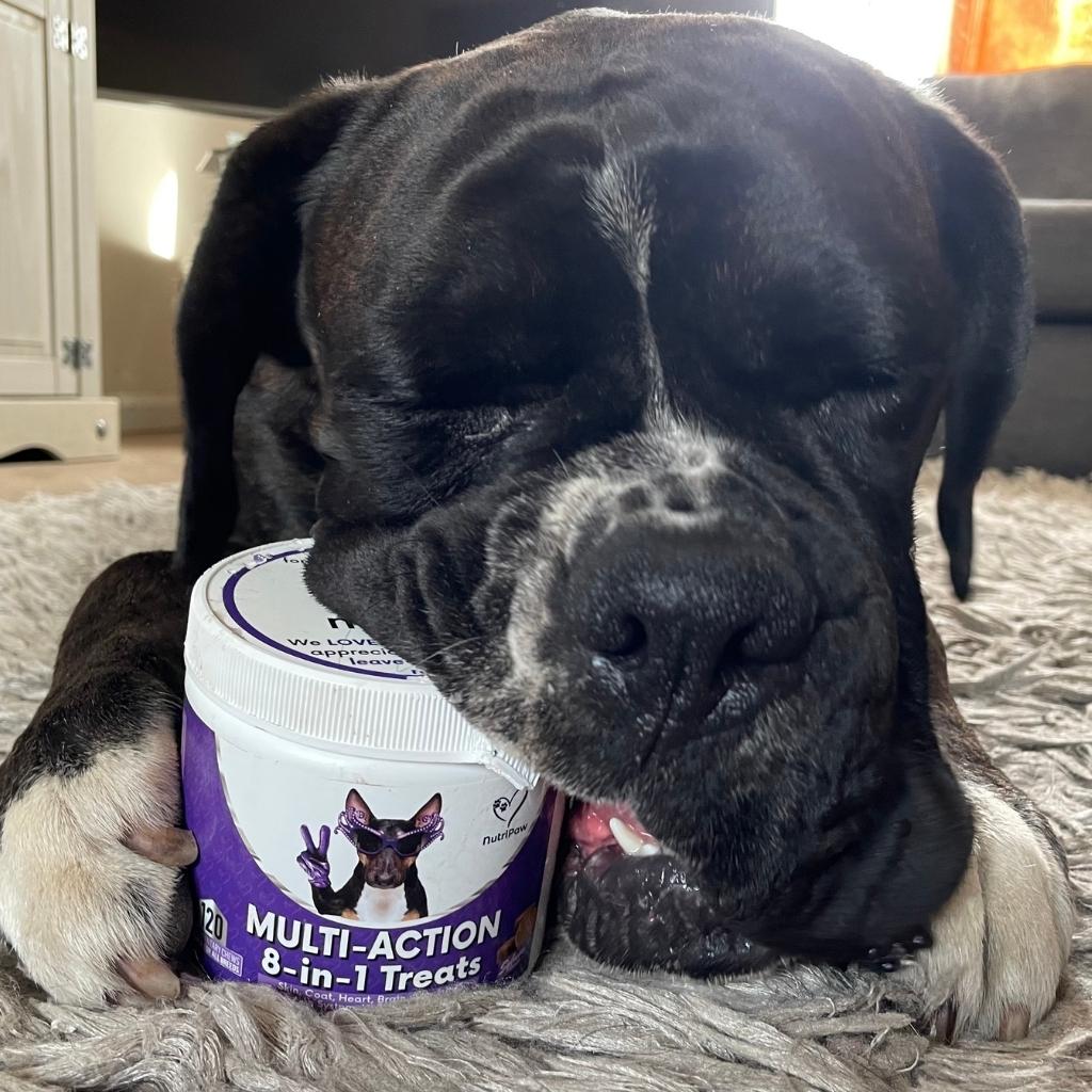 Itch & Wellness Kit - Image 15