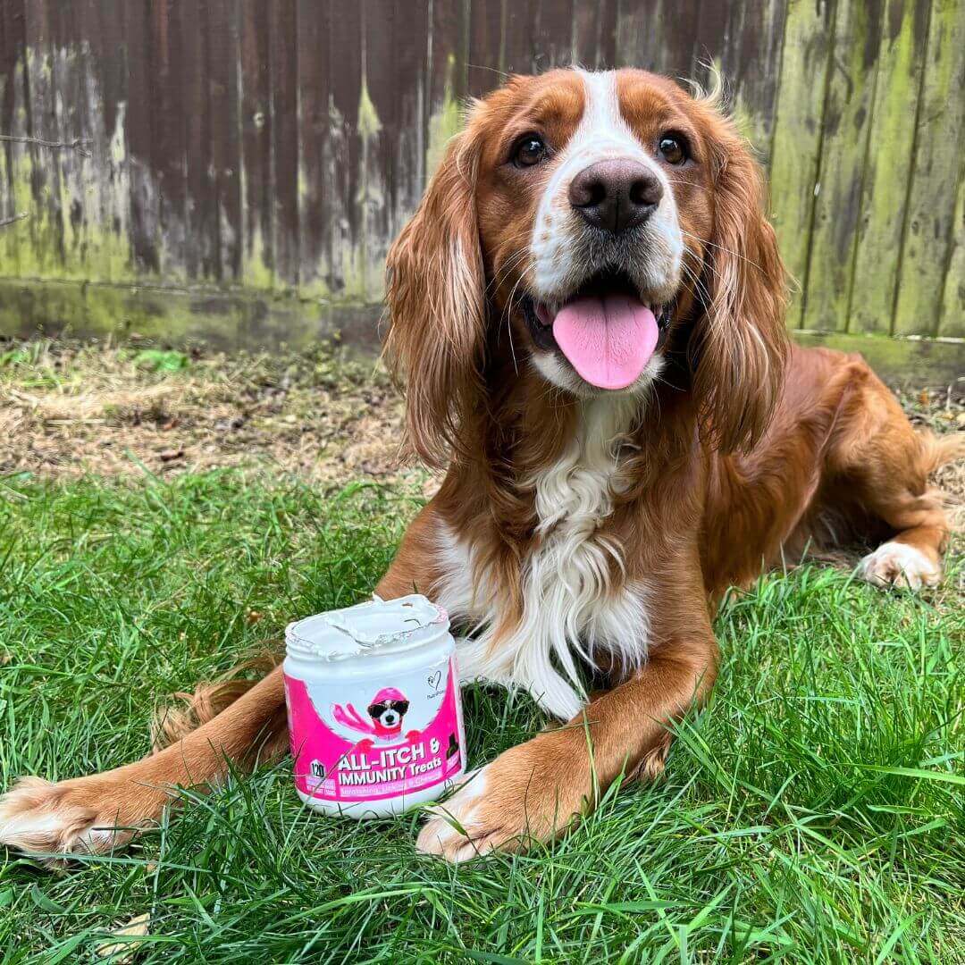 Itch & Wellness Kit - Image 5