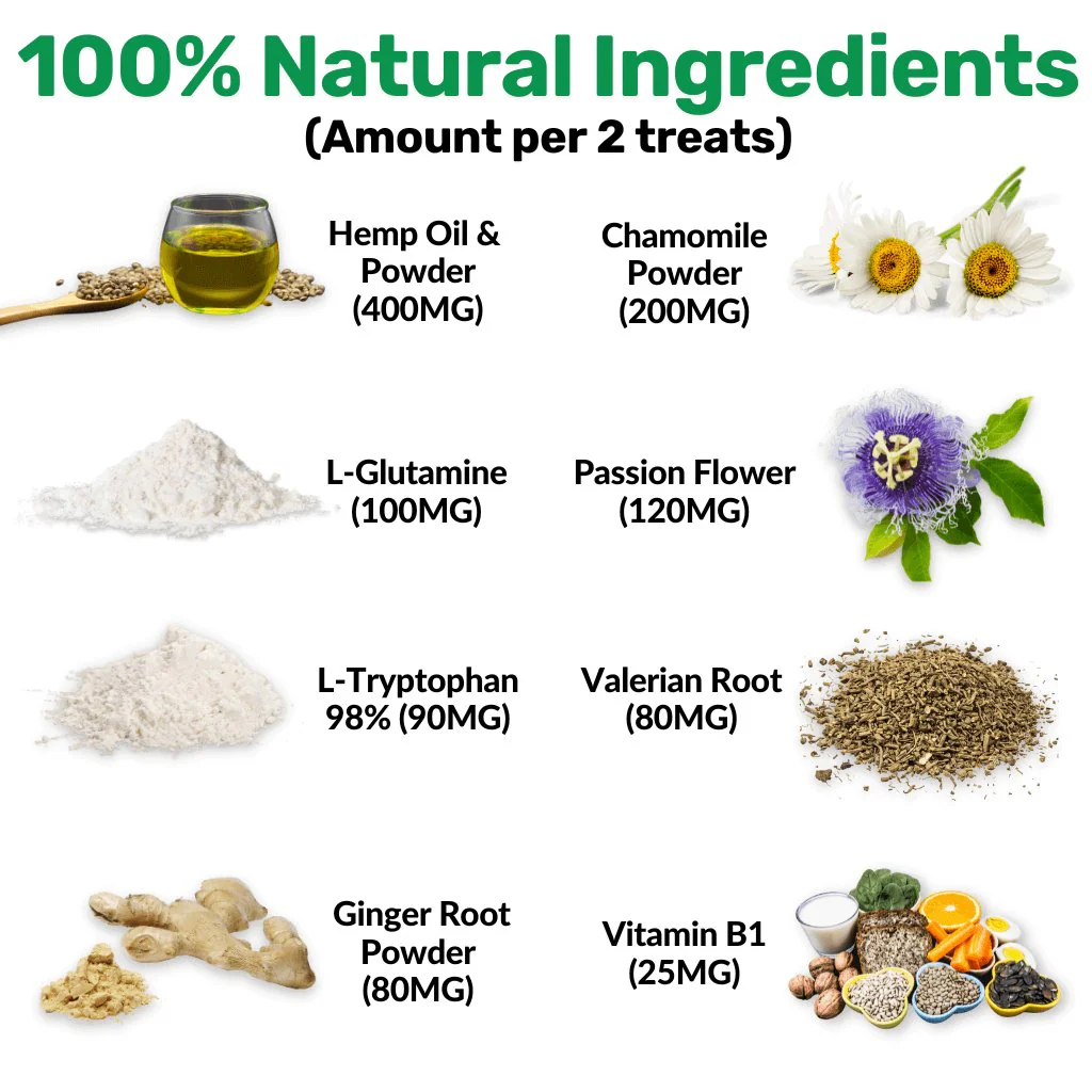 Mind, Body & Gut Kit - Image 11