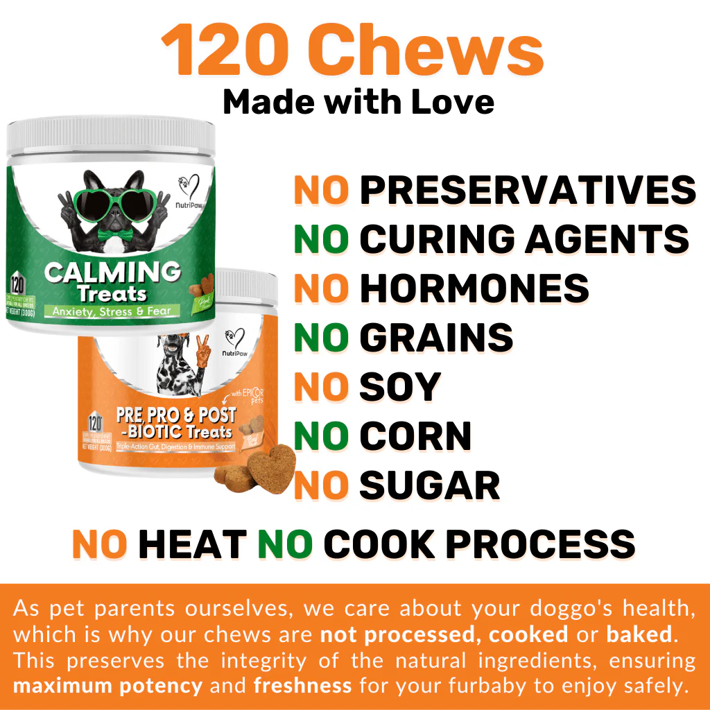 Mind, Body & Gut Kit - Image 12