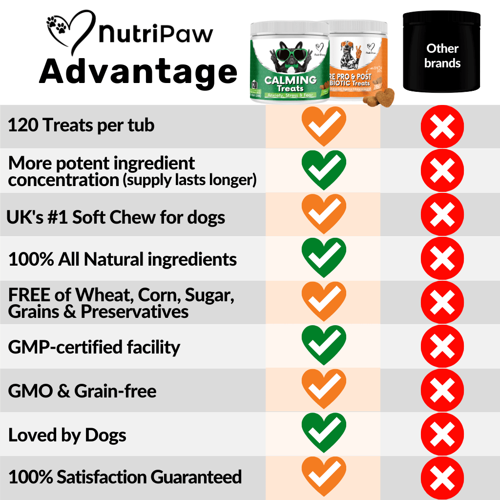 Mind, Body & Gut Kit - Image 13