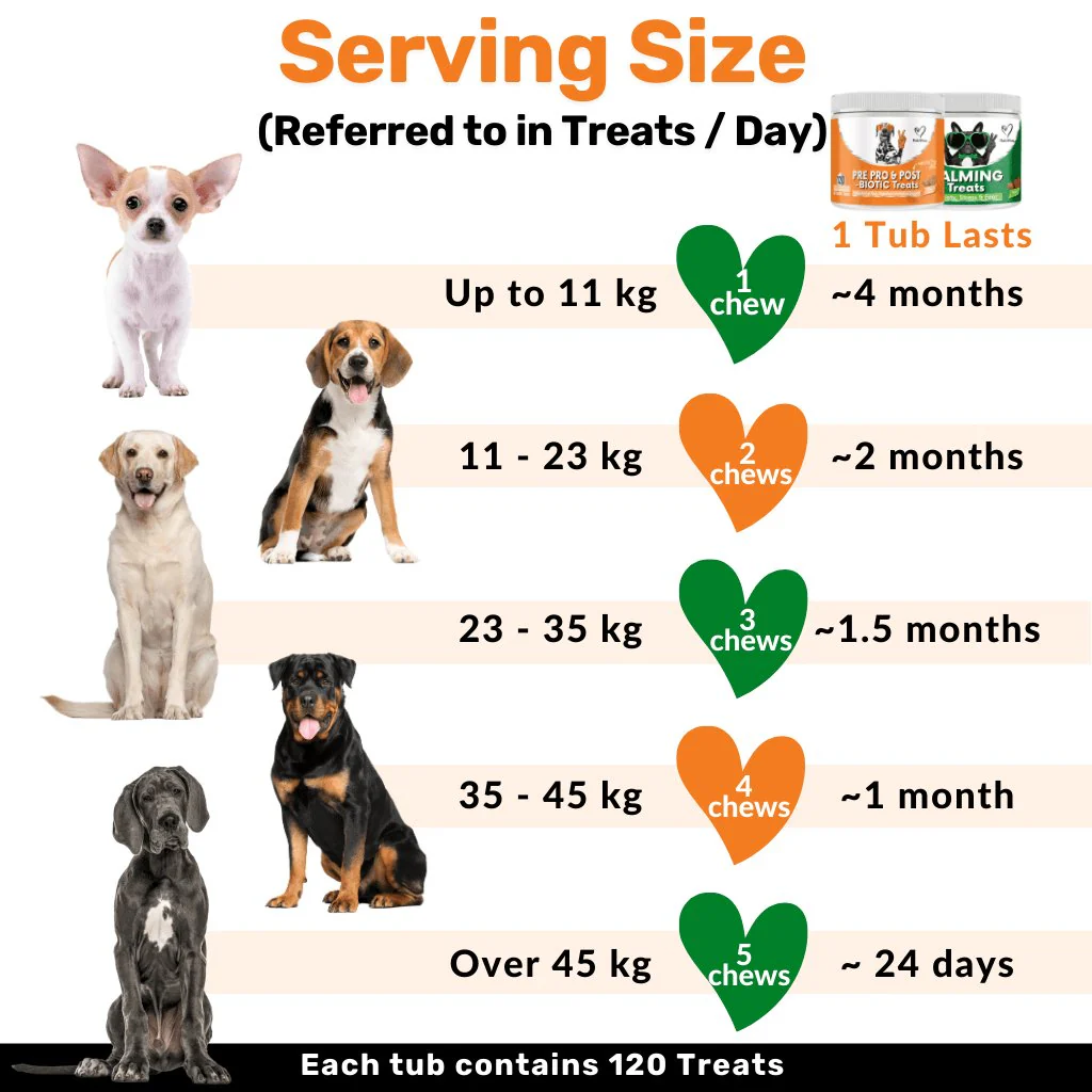 Mind, Body & Gut Kit - Image 14