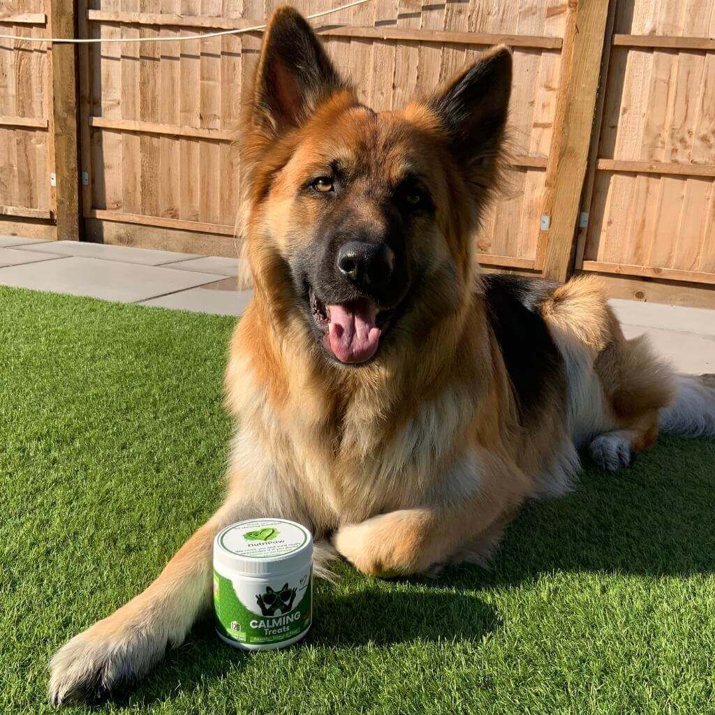 Mind, Body & Gut Kit - Image 15