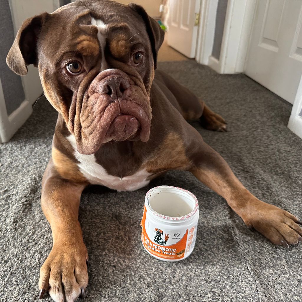 Mind, Body & Gut Kit - Image 4