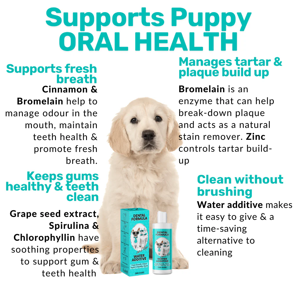 Proactive Wellness Pack - Image 11