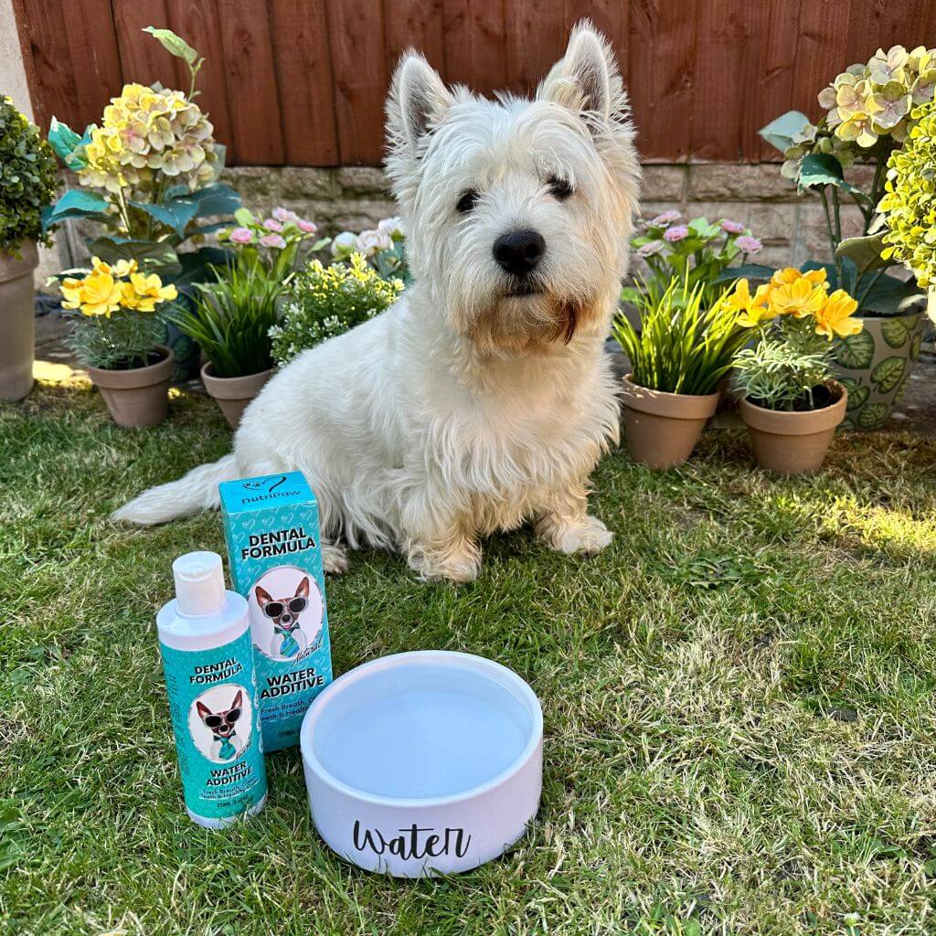 Proactive Wellness Pack - Image 15