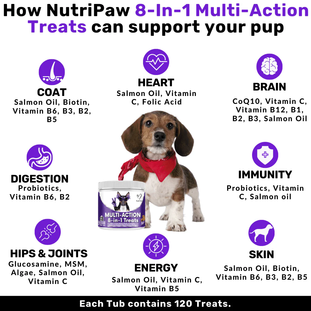 Proactive Wellness Pack - Image 5