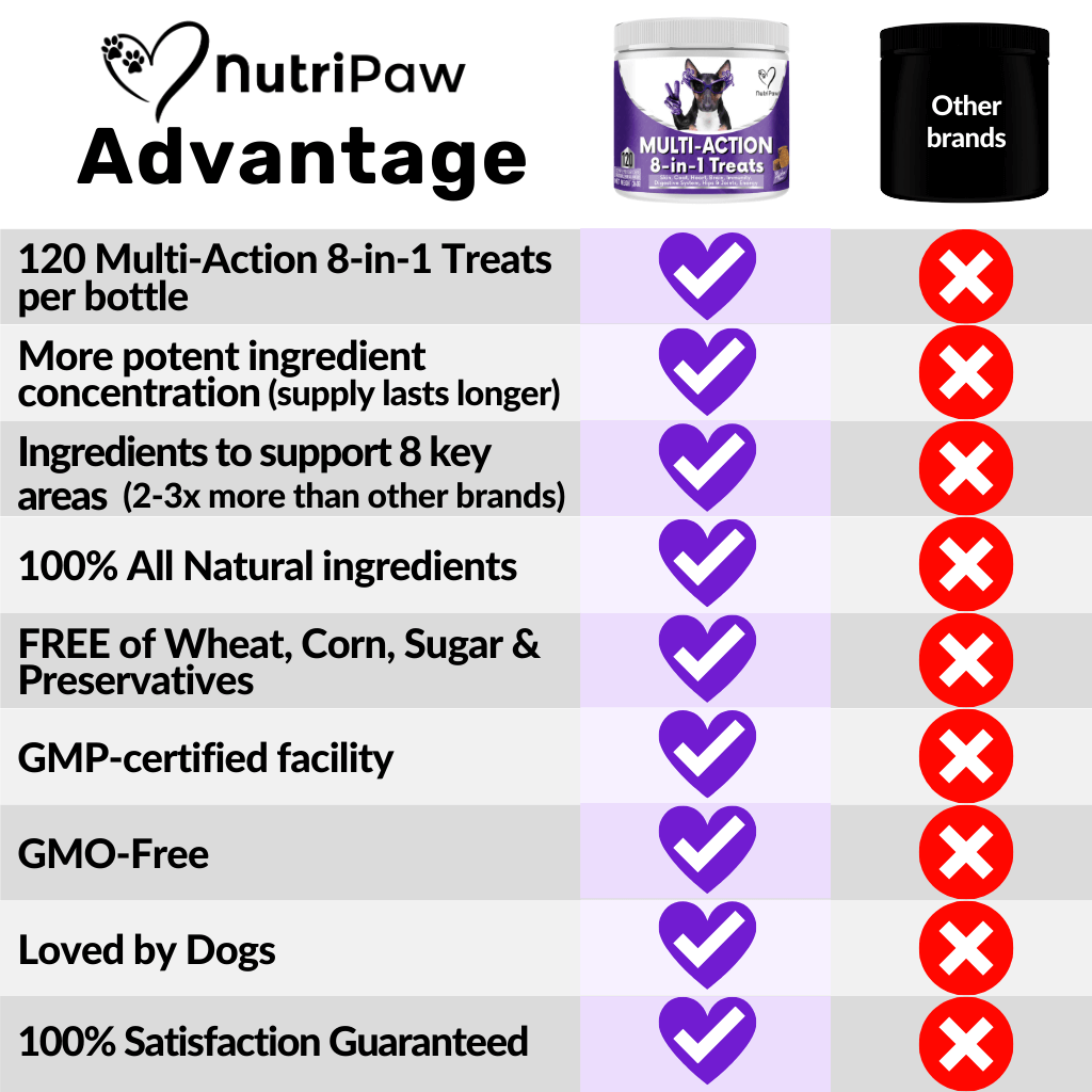 Proactive Wellness Pack - Image 8