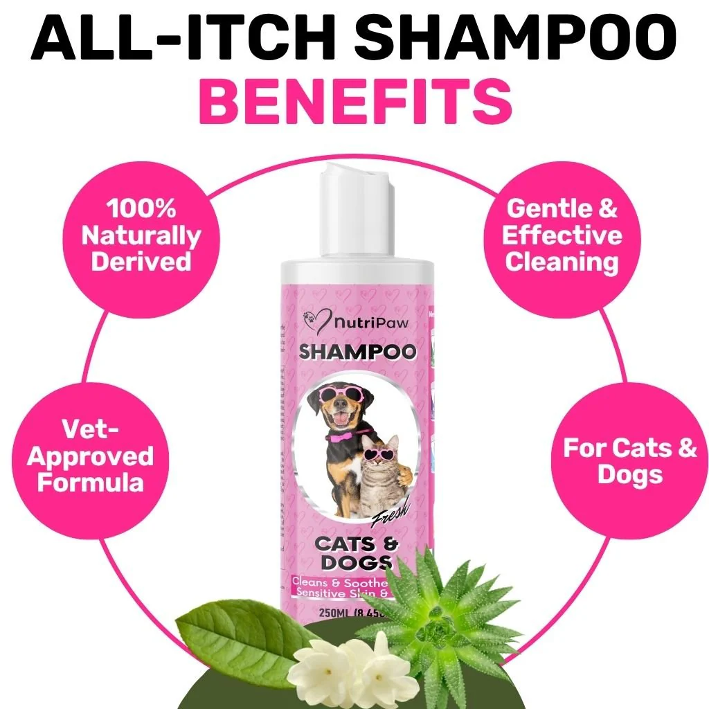 Shampoo - Image 6