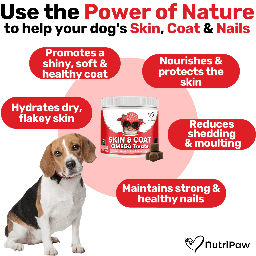 Silky Skin, Fab Fur Kit - Image 3