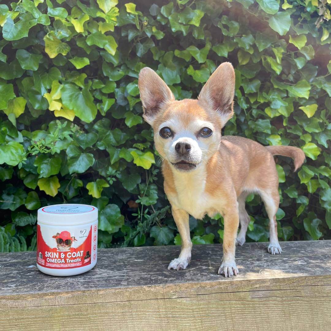 Silky Skin, Fab Fur Kit - Image 7